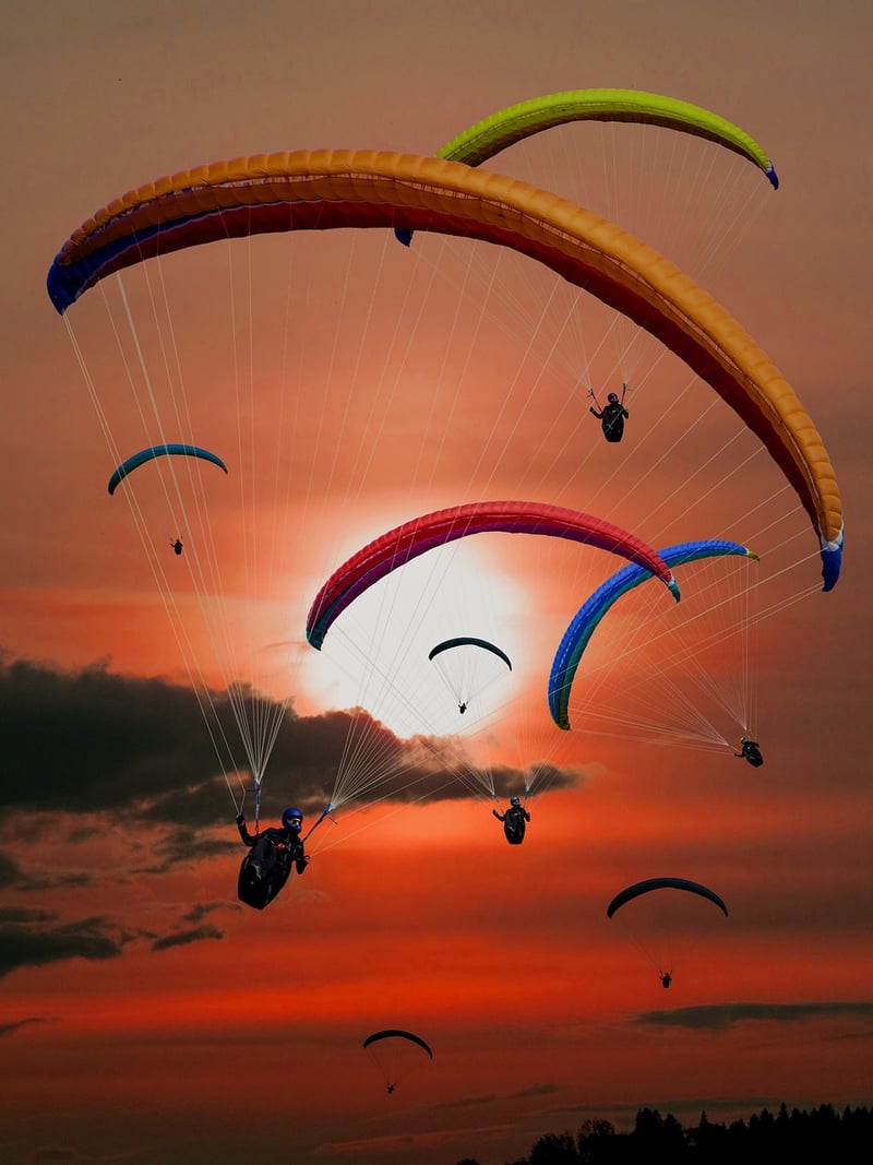 Network with fellow adventurers