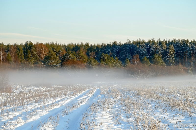 Wilderness retreats