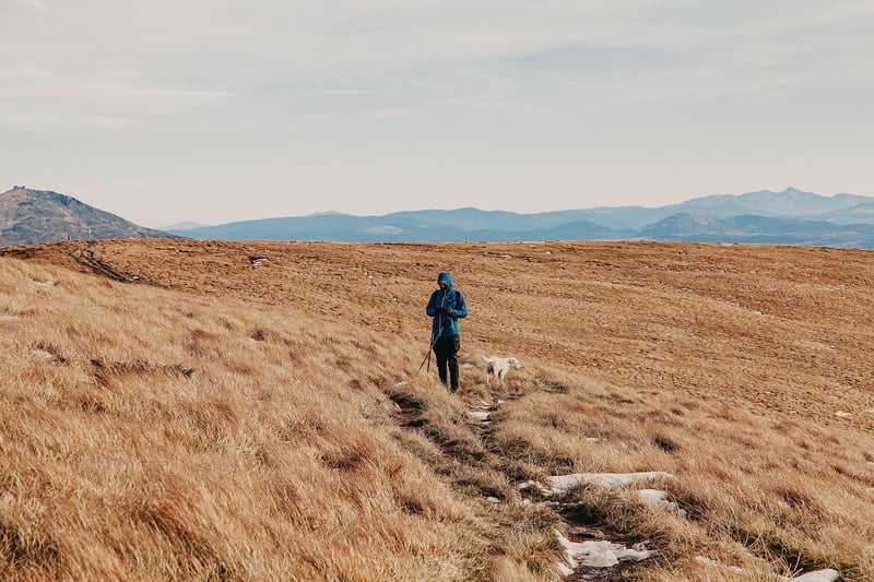 Expedition